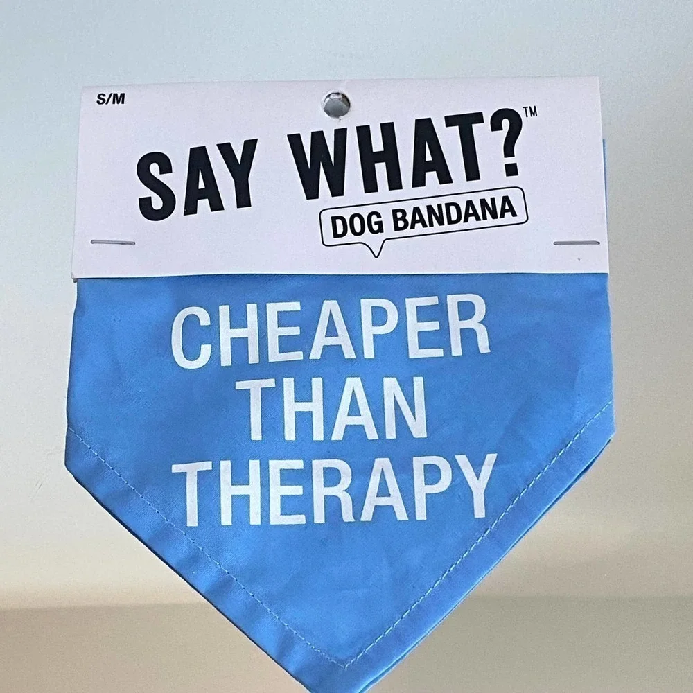 Nordstrom Dog Puppy Bandana Blue Small Medium